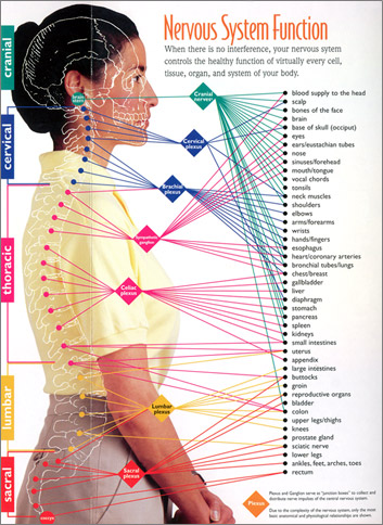 subluxationBrochure 350px jpg 0